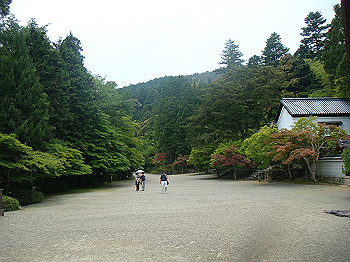 tsuji120_thumb.jpg