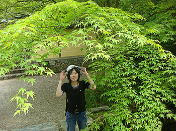 tsuji126_thumb.jpg
