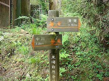 tsuji141_thumb.jpg