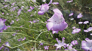 dsc00094_thumb.jpg