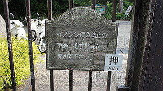 dsc00109_thumb.jpg