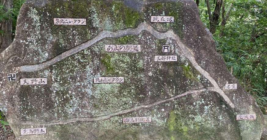 サンプル画像
