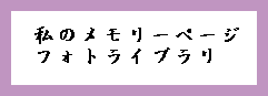 私のメモリーページ