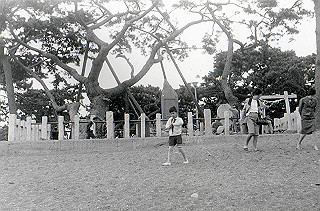 1966-1977_038_thumb.jpg