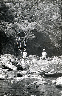 1966-1977_081_thumb.jpg