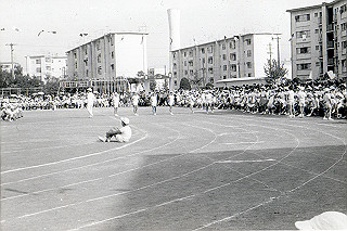 1966-1977_088_thumb.jpg