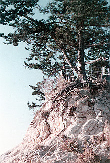 1966-1977_177_thumb.jpg