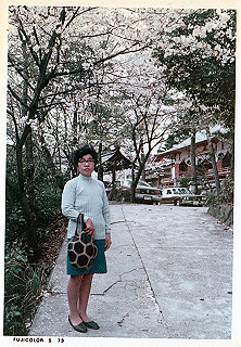 1966-1977_180_thumb.jpg