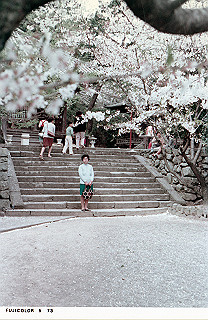 1966-1977_186_thumb.jpg