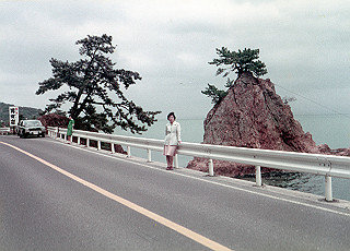 1966-1977_297_thumb.jpg