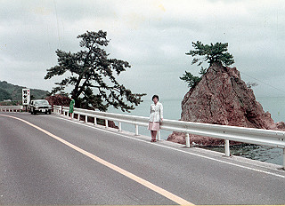 1966-1977_301_thumb.jpg