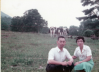 1966-1977_313_thumb.jpg