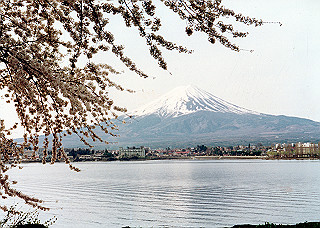 1966-1977_369_thumb.jpg