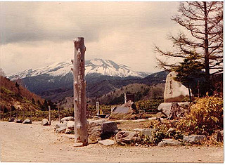 1978_233_thumb.jpg