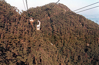 1979_216_thumb.jpg