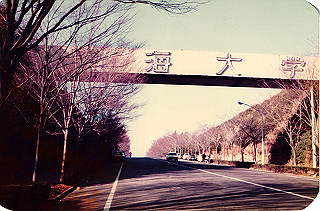19820399_001_thumb.jpg