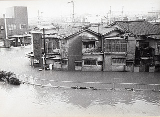 19820803_101_thumb.jpg