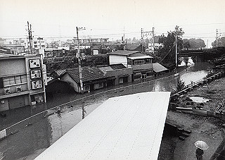 19820803_102_thumb.jpg