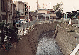 19820803_104_thumb.jpg