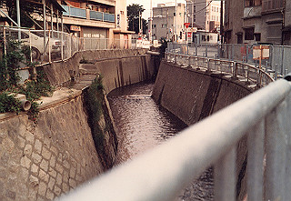 19820803_105_thumb.jpg