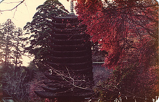 19821107_006_thumb.jpg
