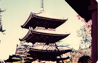 19821107_008_thumb.jpg