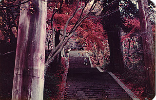 19821107_011_thumb.jpg