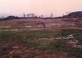 19830410_106_thumb.jpg