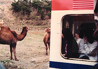 19830410_113_thumb.jpg