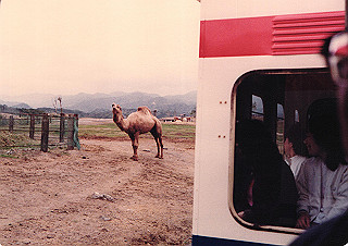 19830410_115_thumb.jpg