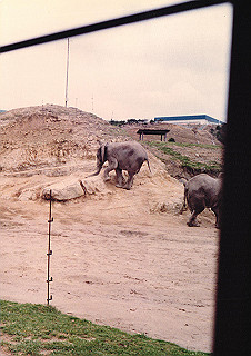 19830410_116_thumb.jpg