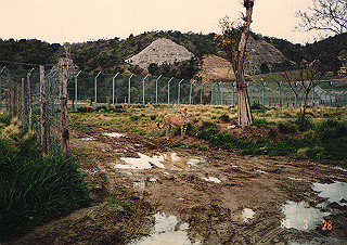 19830410_123_thumb.jpg