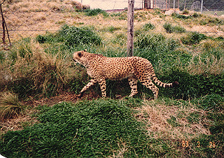 19830410_128_thumb.jpg