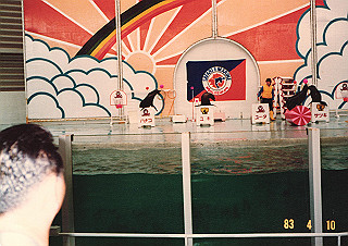 19830410_139_thumb.jpg