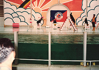 19830410_141_thumb.jpg
