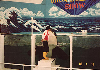 19830410_153_thumb.jpg