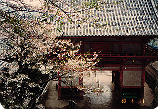 19830411_003_thumb.jpg