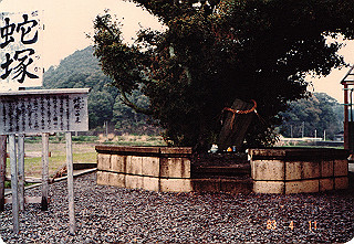 19830411_004_thumb.jpg