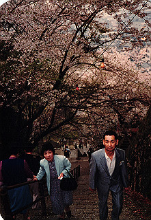 19830411_012_thumb.jpg