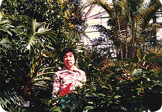 19840499_002_thumb.jpg