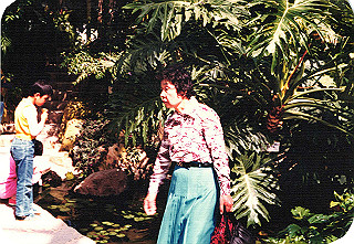 19840499_004_thumb.jpg