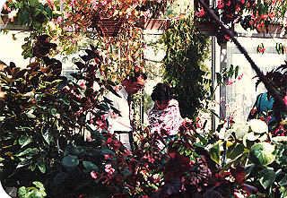 19840499_005_thumb.jpg