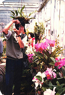 19840499_007_thumb.jpg