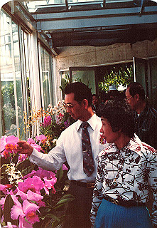 19840499_008_thumb.jpg