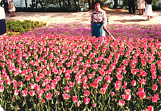 19840499_010_thumb.jpg