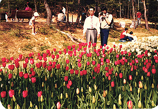 19840499_011_thumb.jpg