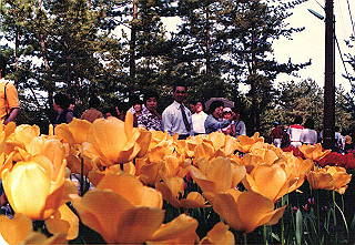 19840499_022_thumb.jpg