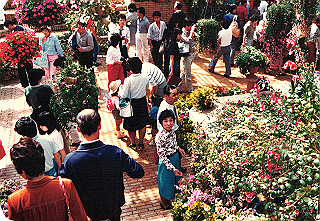 19840499_027_thumb.jpg