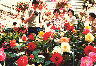 19840499_029_thumb.jpg