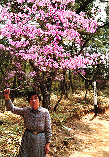 19841099_002_thumb.jpg